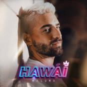 MALUMA - HAWAI / REMIX / FEAT THE WEEKND
